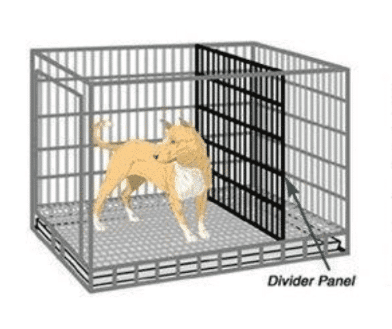 acheter cage pour chien