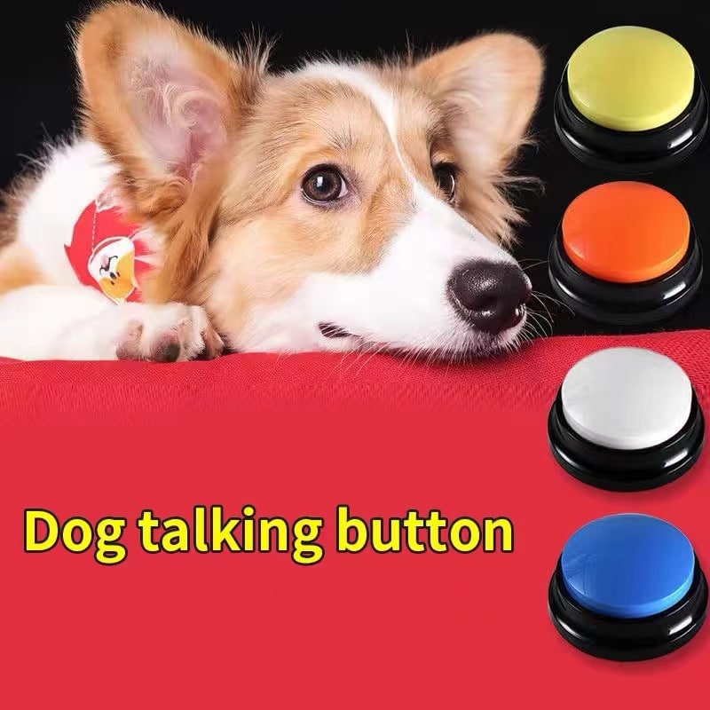 types of dog toys