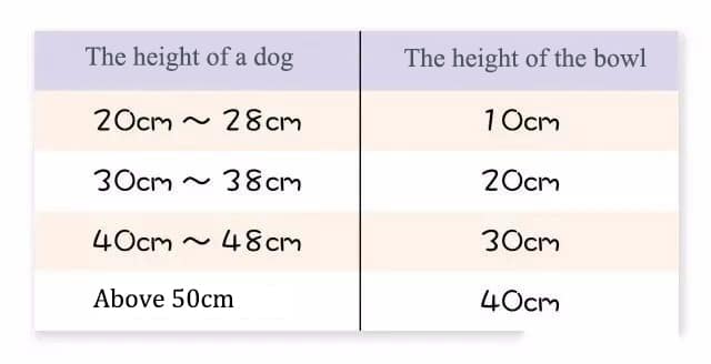 ¿qué altura debe tener un comedero para perros?