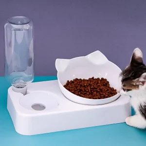 cat water fountain and food bowl manufacturer