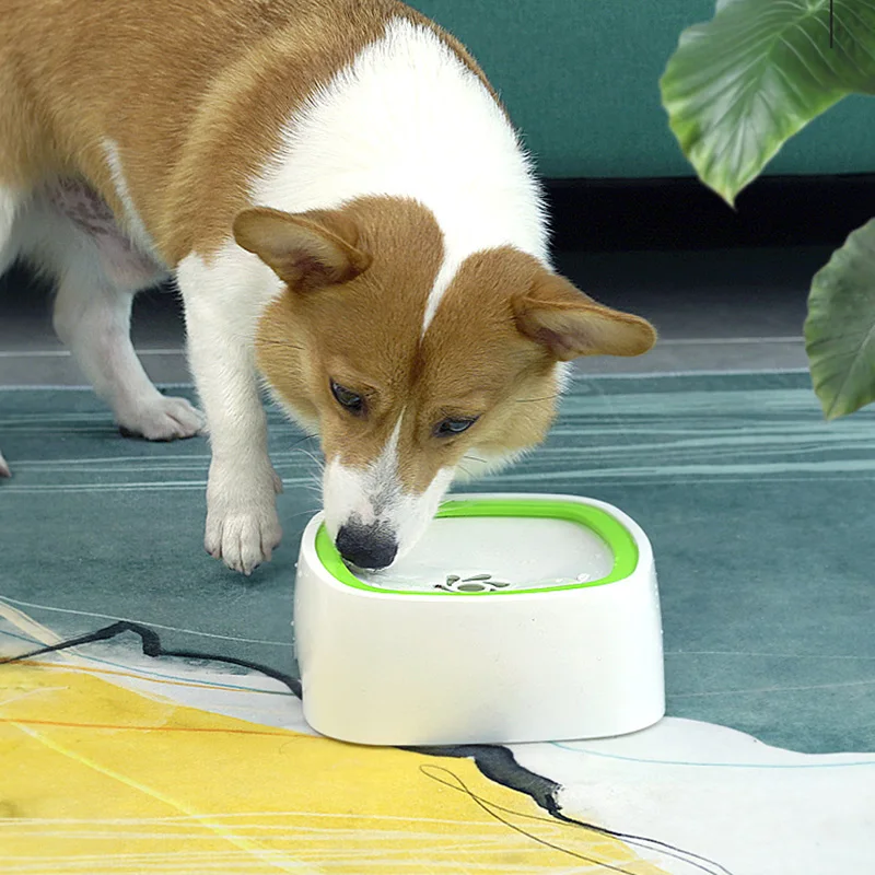 Drinkbak Hond Dog Drinking Water Bowl Floating Non-Wetting Mouth Dog Bowl Without Spill Drinking Bebedero Perro Waterbak Hond