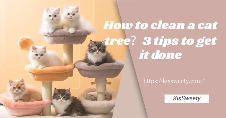 How to clean a cat tree？3 tips to get it done