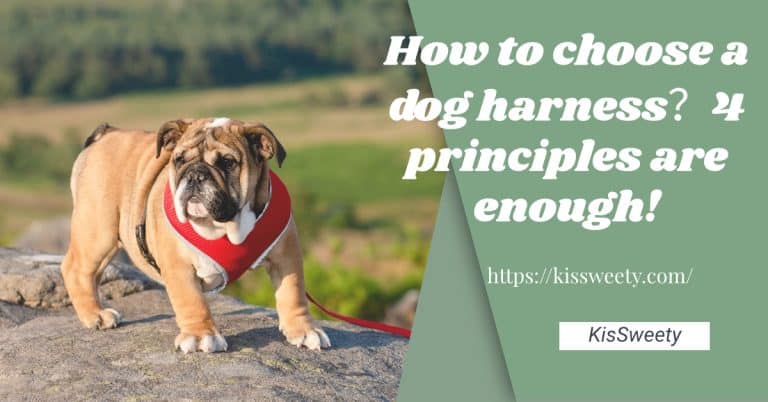 How to choose a dog harness？