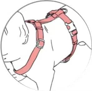 types of dog harness (H-shaped dog harness)