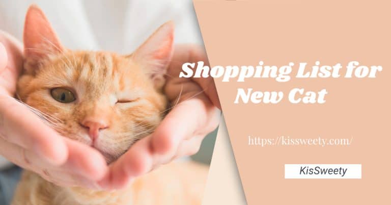 Shopping List for New Cat