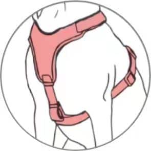 types of dog harness (Y-shaped buckle dog harness)