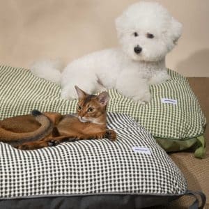 Pet Beds