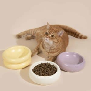 Pet bowl manufacturer