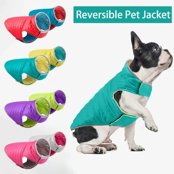 Dog down jacket manufacturer - KisSweety