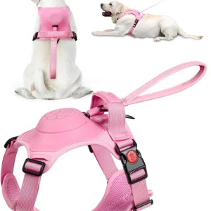 Custom dog harness for medium dogs