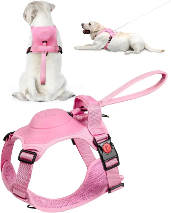 Custom dog harness for medium dogs