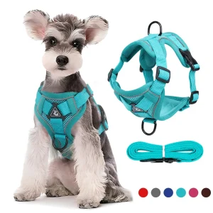 Small dog harness and leash manufacturer