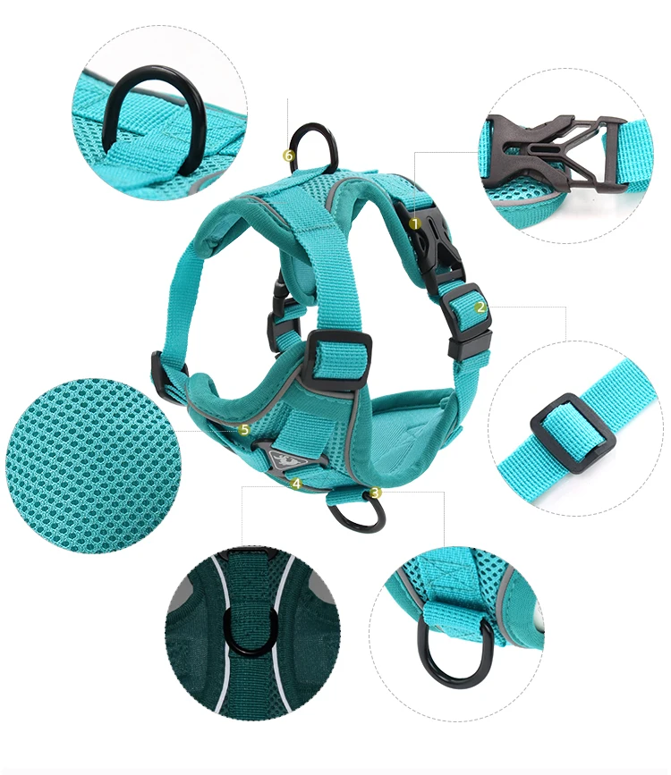 Small dog harness and leash manufacturer