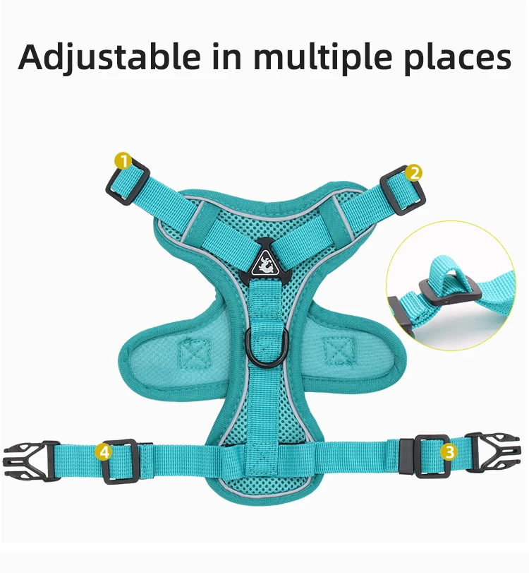 Small dog harness and leash manufacturer