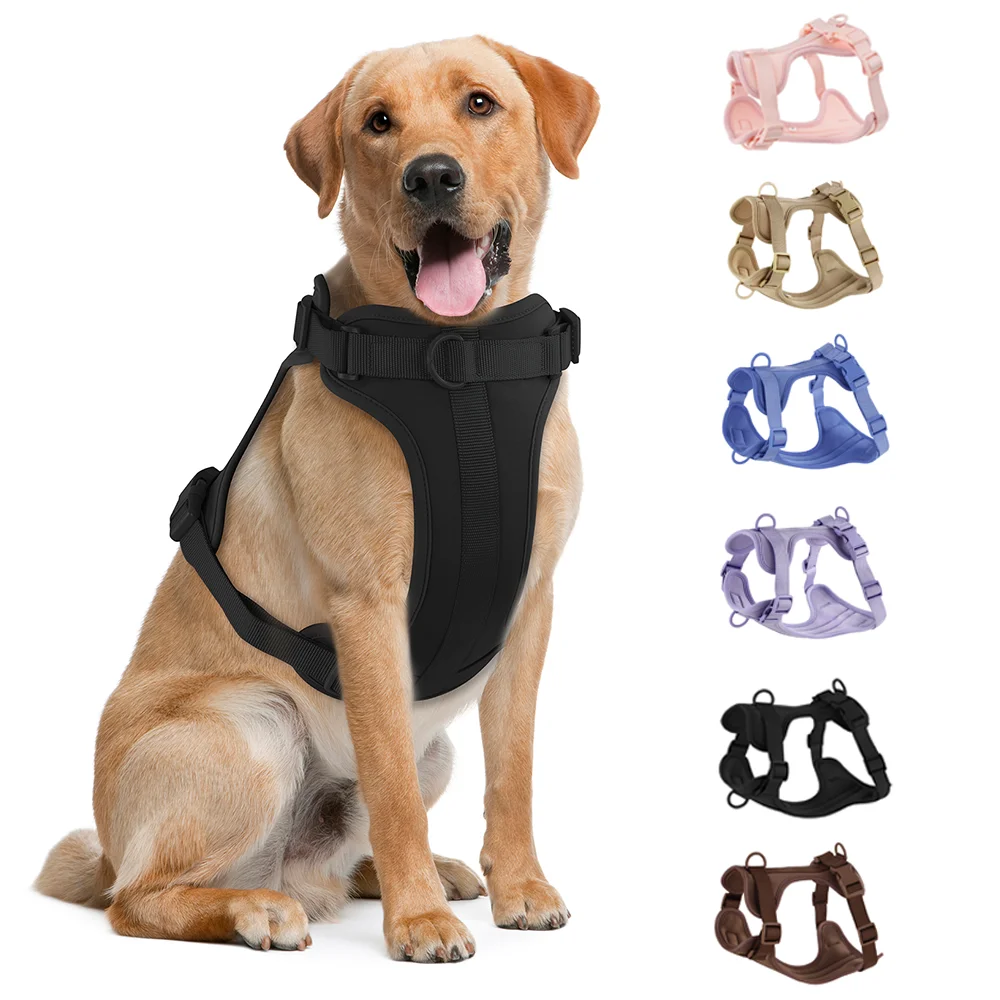 Laisse Double PVC Confortable et respirant Harnais pour chien Sangle de poitrine ajustable Ensemble Colliers-f- Harnais & laisses Suit