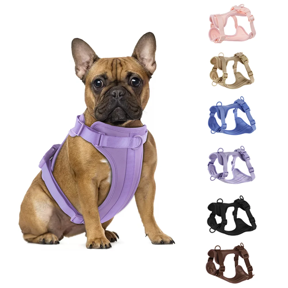 Double Dog Leash PVC Comfortable and breathable Dog Harness Adjustable Chest Strap Set Collars-f- Harnesses & Leashes Suit