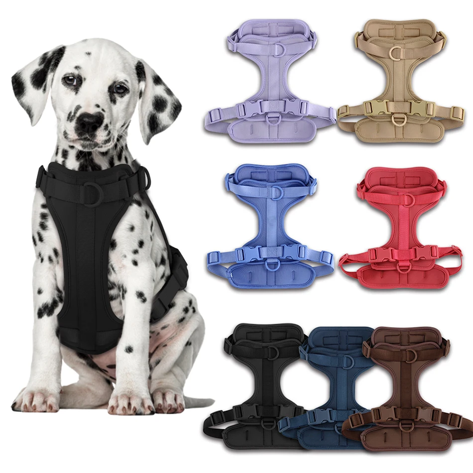 Laisse Double PVC Confortable et respirant Harnais pour chien Sangle de poitrine ajustable Ensemble Colliers-f- Harnais & laisses Suit