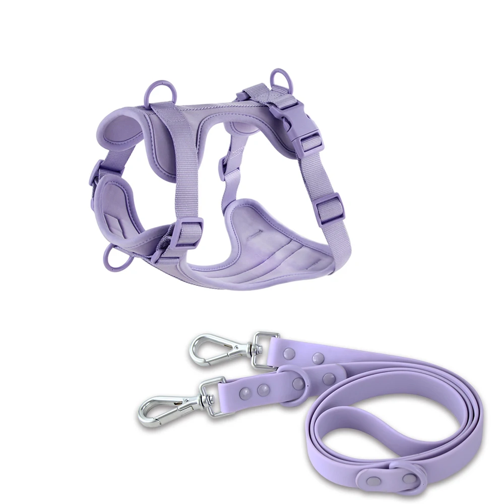 Harness Leash-purple