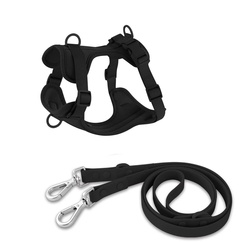 Harness Leash-black