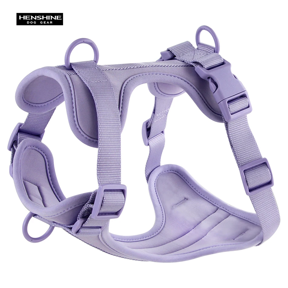 Harness--purple