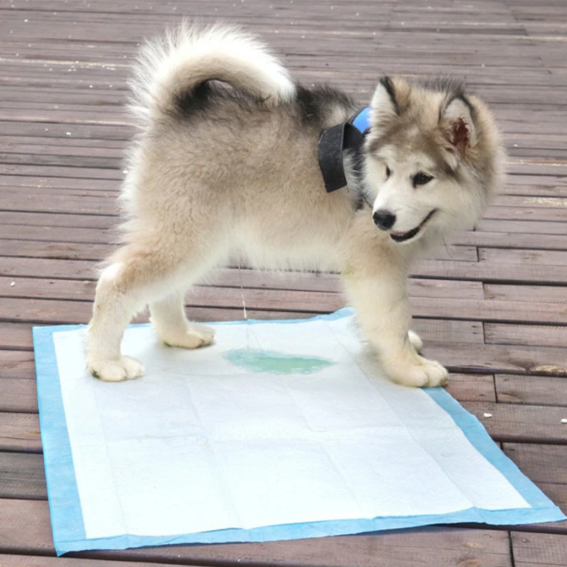 Superabsorberende Pet Luier Hond Training Plasmatjes Wegwerp verdikte luiermatjes voor katten Hondenluiers Kooimat Huisdierbenodigdheden