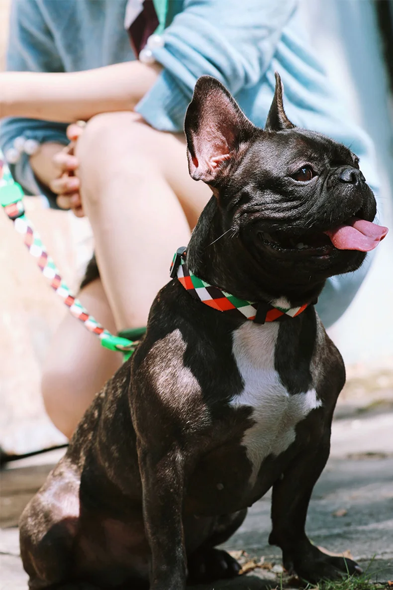 Collar de perro y correa multifuncional anti-tirón ajustable collar de poliéster suave Accesorios personalizados para mascotas