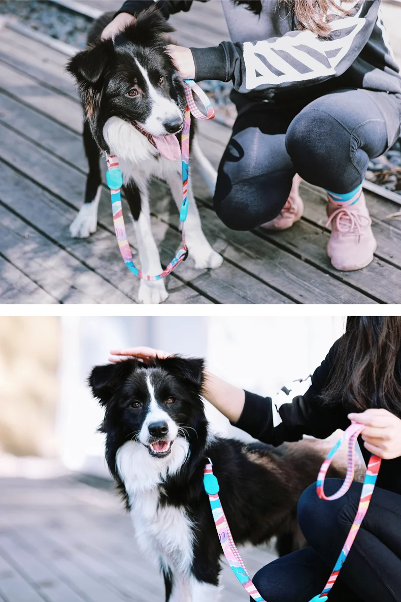 Collar de perro y correa multifuncional anti-tirón ajustable collar de poliéster suave Accesorios personalizados para mascotas