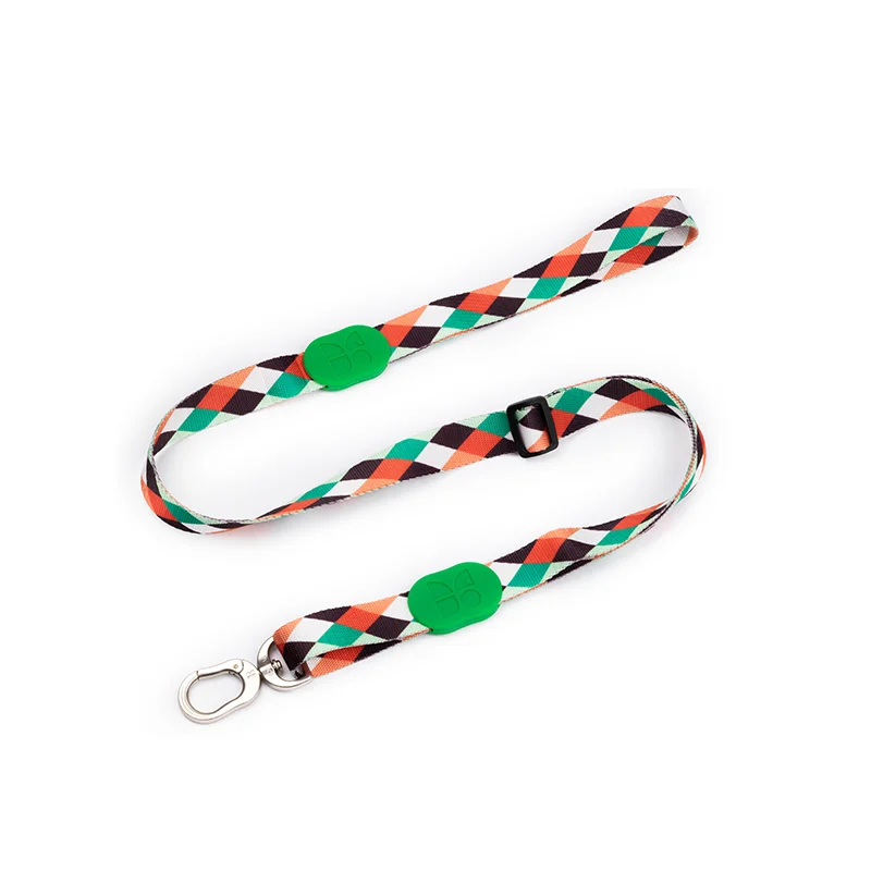 Pop Art leash