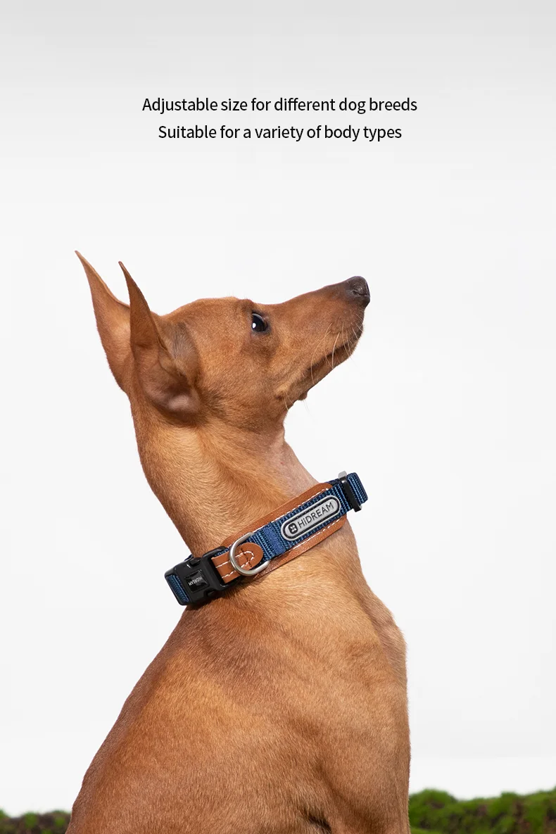 Hundehalsband Anti-Pull Einstellbar Weiches Nylon Kleines Hundehalsband Kette Halsband Training Zubehör