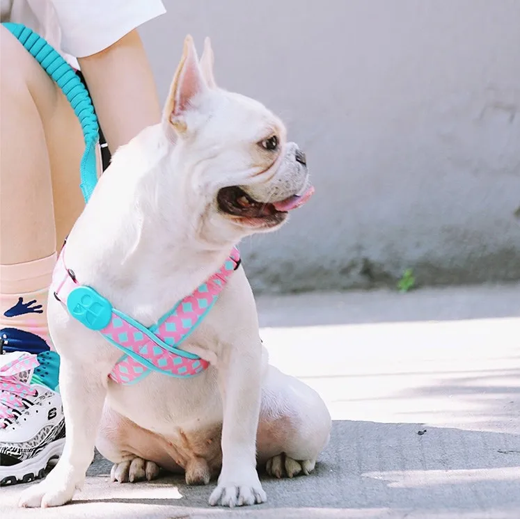 Hidream Colorful Durable Dogs X-shaped Chest Strap Leash Set Suit Design for Small Medium Large Dogs