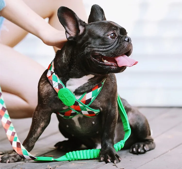 Hidream Bunte dauerhafte Hunde X-förmige Brustgurt Leine Set Anzug Design für kleine mittlere große Hunde