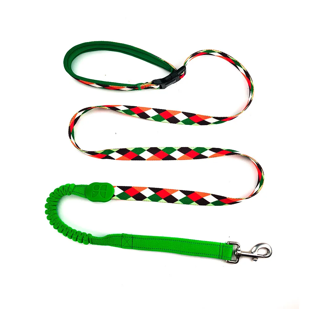 Mountain Stamp leash