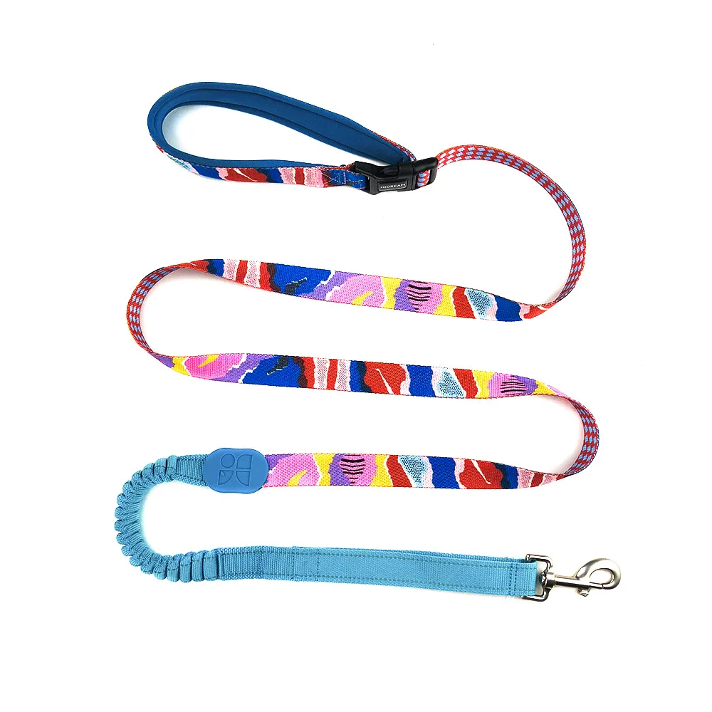 Pop Art leash