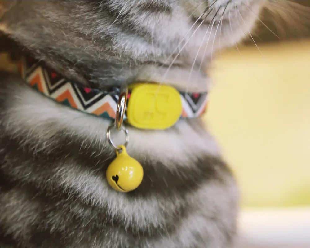 Collier de lapin réglable CAT COLLAR avec BELL Little Pet Loss Prevention Necklet Hidream Desigh Colorful Serial