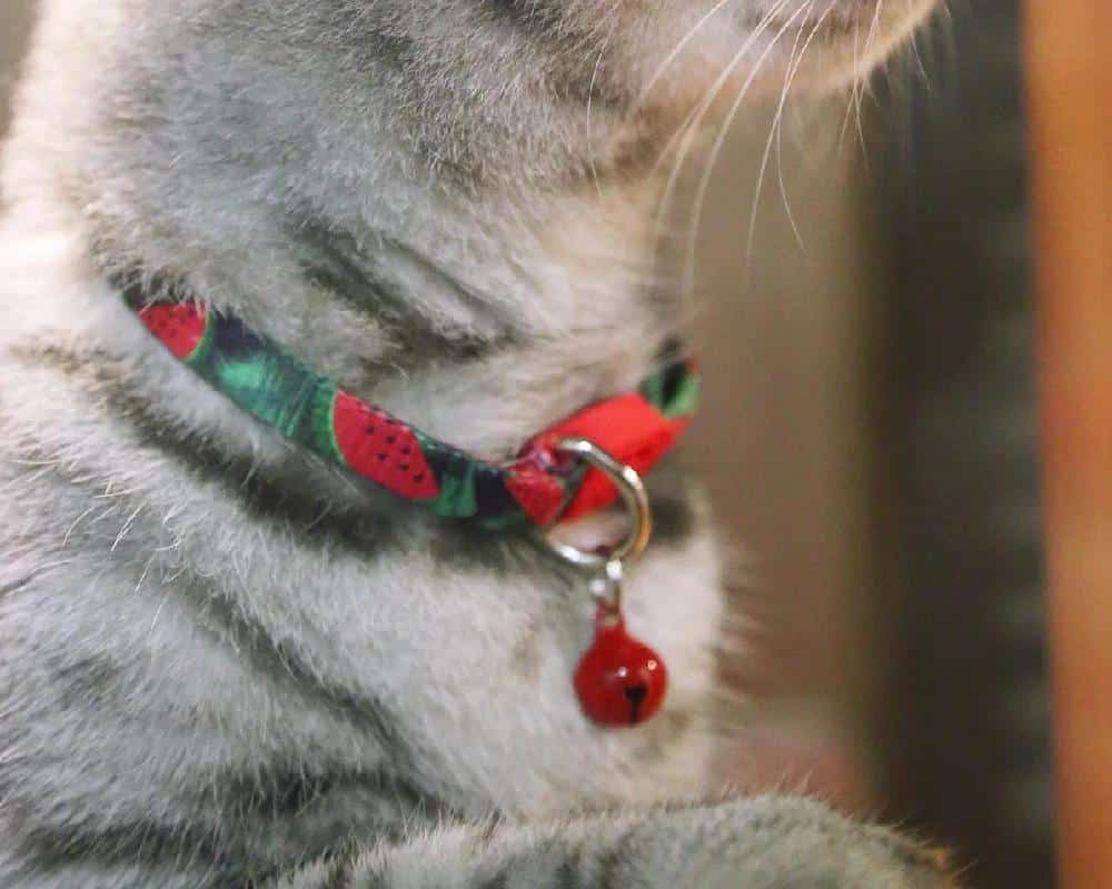 Collier de lapin réglable CAT COLLAR avec BELL Little Pet Loss Prevention Necklet Hidream Desigh Colorful Serial