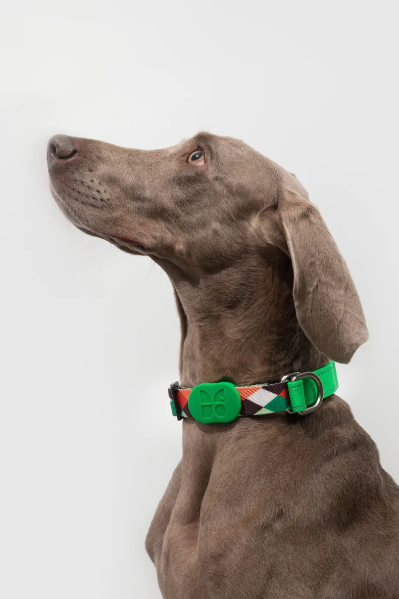 Dog Half P Collar Dog Ring Reflective Strong Choker Training Collar Dog For Small Big Dogs Anti Pull Plaid Polyester Adjustable