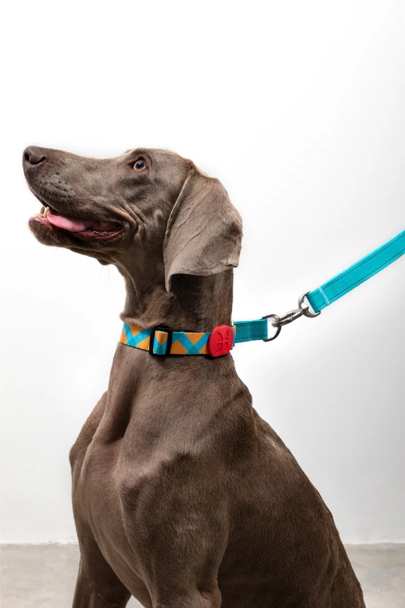 Hond Halve P Halsband Hond Ring Reflecterende Sterke Choker Training Halsband Hond Voor Kleine Grote Honden Anti Trek Ruit Polyester Verstelbaar