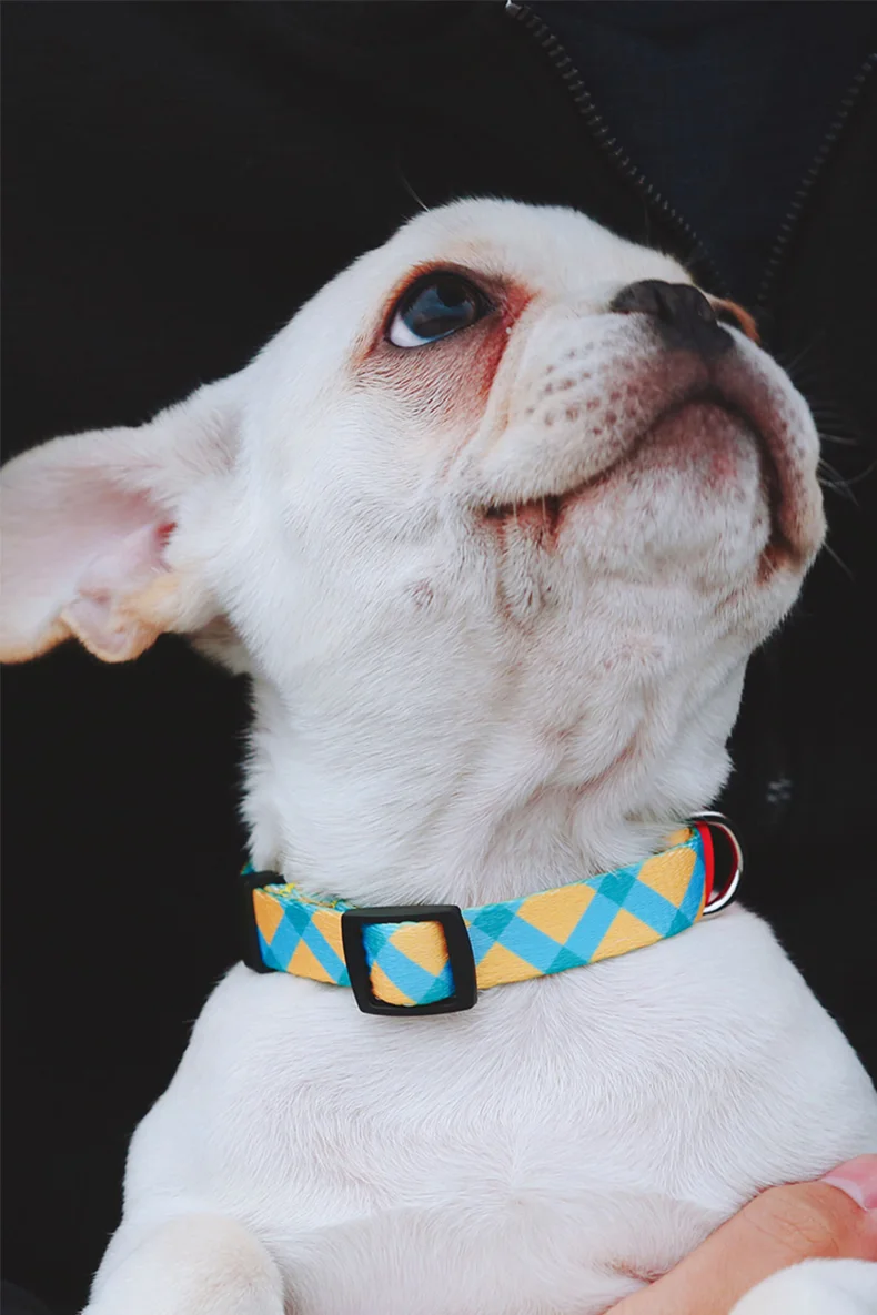 Perro ajustable de poliéster suave anti-tirón collar de accesorios personalizados para mascotas