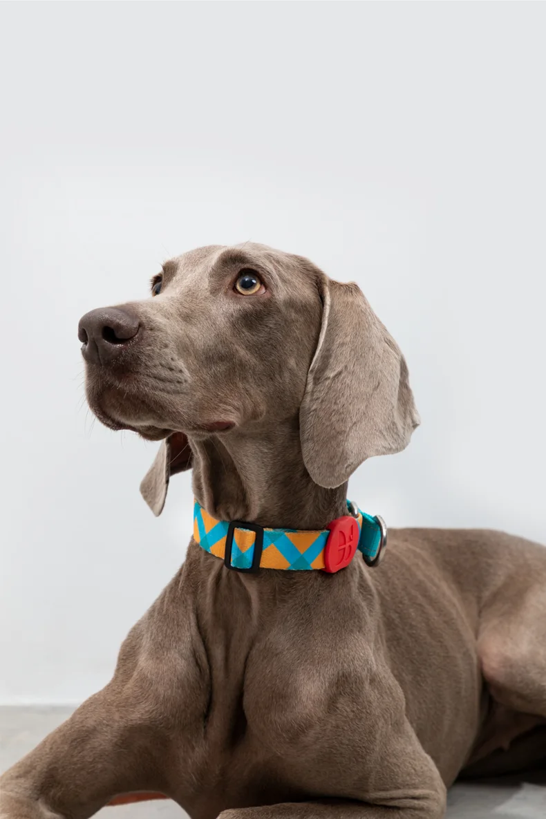 Collar de perro Medio P Reflectante Fuerte Gargantilla de Adiestramiento para Perros Pequeños y Grandes Anti Tirón Collar Ajustable de Poliéster a Cuadros