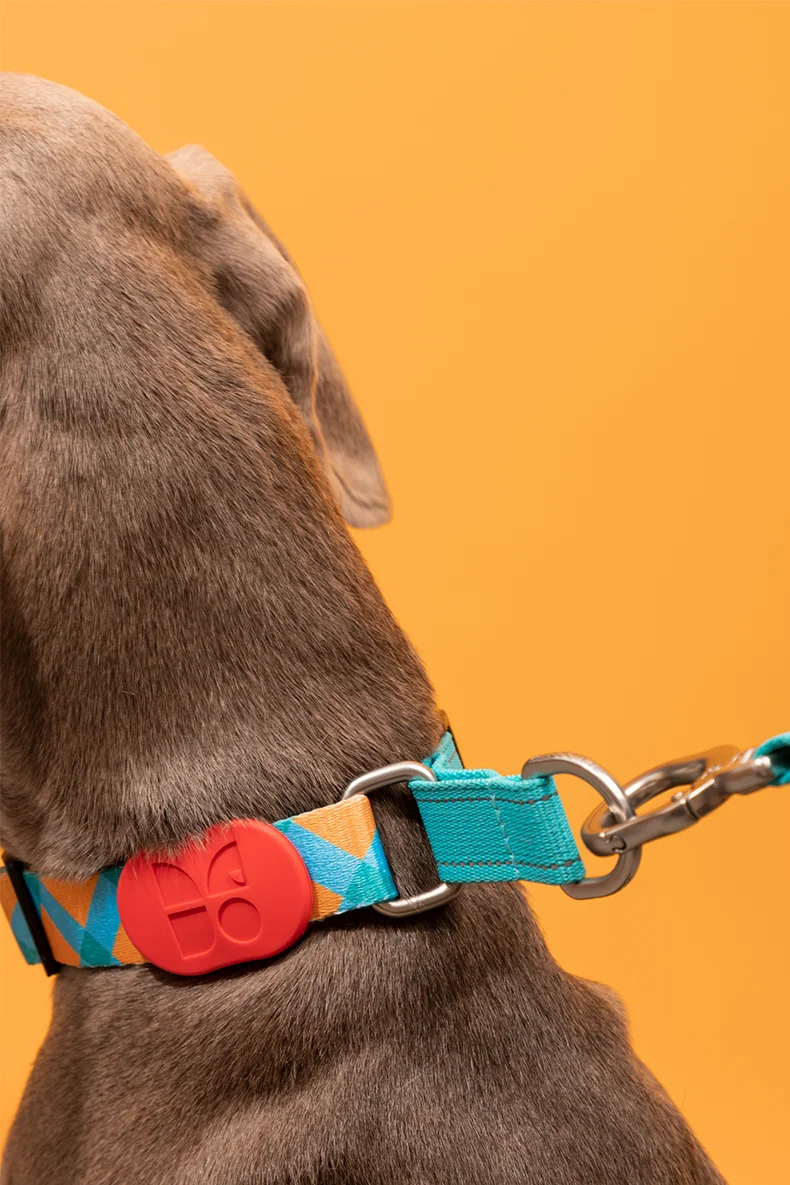 Collier pour chien en demi-pouce réfléchissant avec tour de cou pour petits et grands chiens Collier ajustable en polyester à carreaux anti-traction