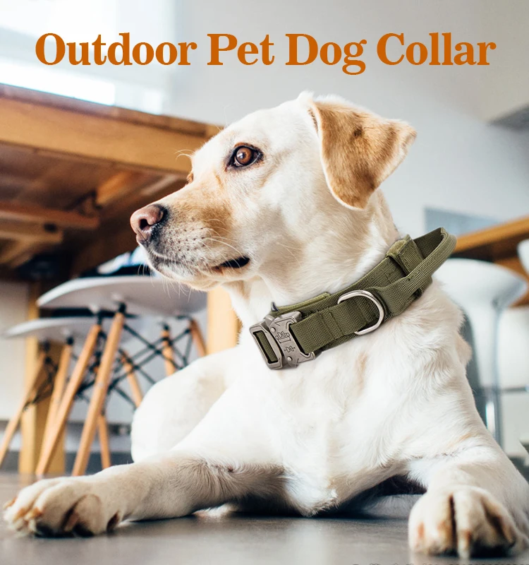 Collier Tactique Durable pour Chien Collier Nylon Pour Moyen Grand Chien Ajustable Collier Anti-Explosion Accessoires pour Chiens Fournitures pour Animaux de Compagnie