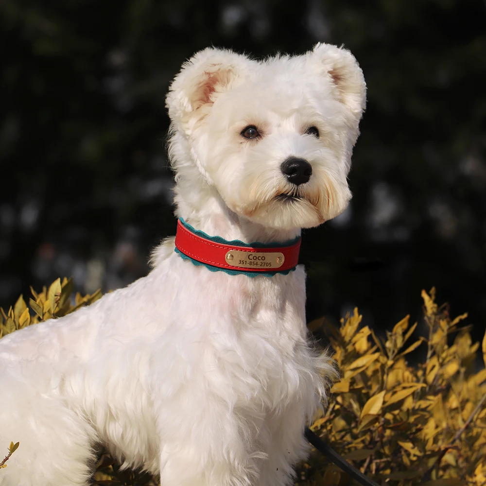 Aangepaste hondenhalsband zacht PU lederen hondenhalsbanden gratis gepersonaliseerde huisdier gewatteerde halsband mode voor kleine middelgrote grote honden buiten