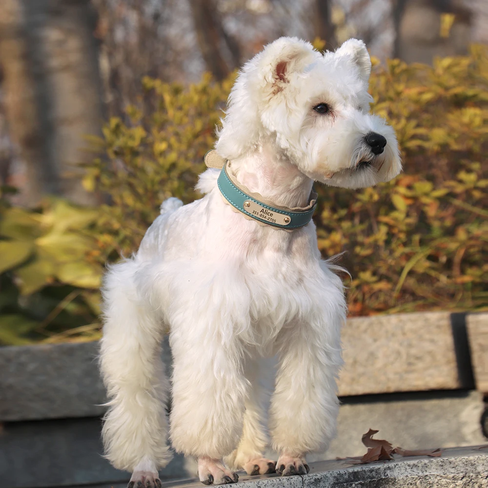 Aangepaste hondenhalsband zacht PU lederen hondenhalsbanden gratis gepersonaliseerde huisdier gewatteerde halsband mode voor kleine middelgrote grote honden buiten