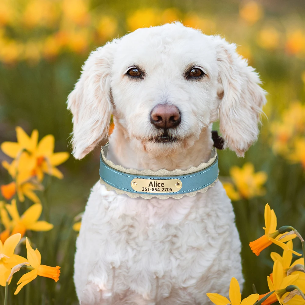 Benutzerdefinierte Hundehalsband weiches PU Leder Hundehalsbänder frei personalisierte Haustier gepolstertes Halsband Mode für kleine mittlere große Hunde im Freien