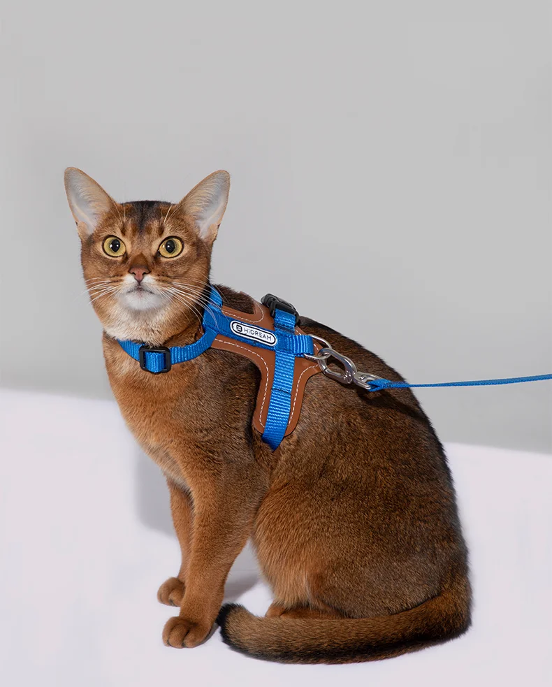 Katze Einstellbare I-Block Geschirre Leder Hosenträger Set Anti-Break Vest-Stil und Katze Leine