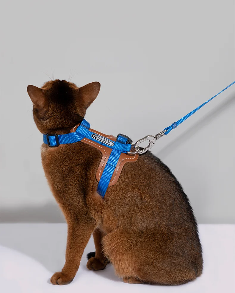 Harnais I-block ajustable pour chat, ensemble de bretelles en cuir anti-casse, gilet et laisse pour chat