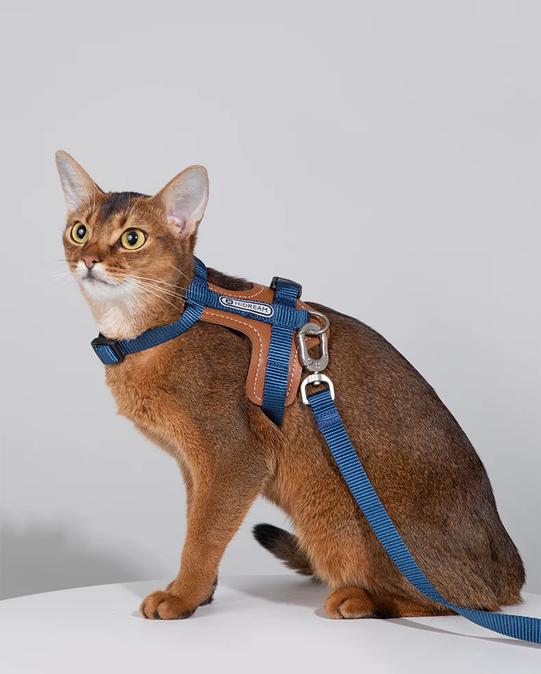 Harnais I-block ajustable pour chat, ensemble de bretelles en cuir anti-casse, gilet et laisse pour chat