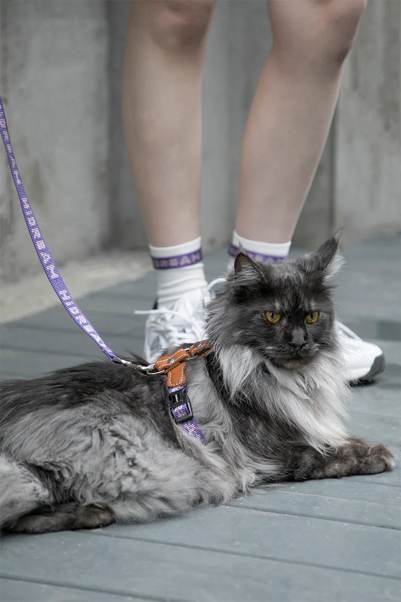 Katzengeschirre Hosenträger Set Komfortabel Reflektierend I-Schrift Struktur Anti-Break Einstellbare Katzenleine