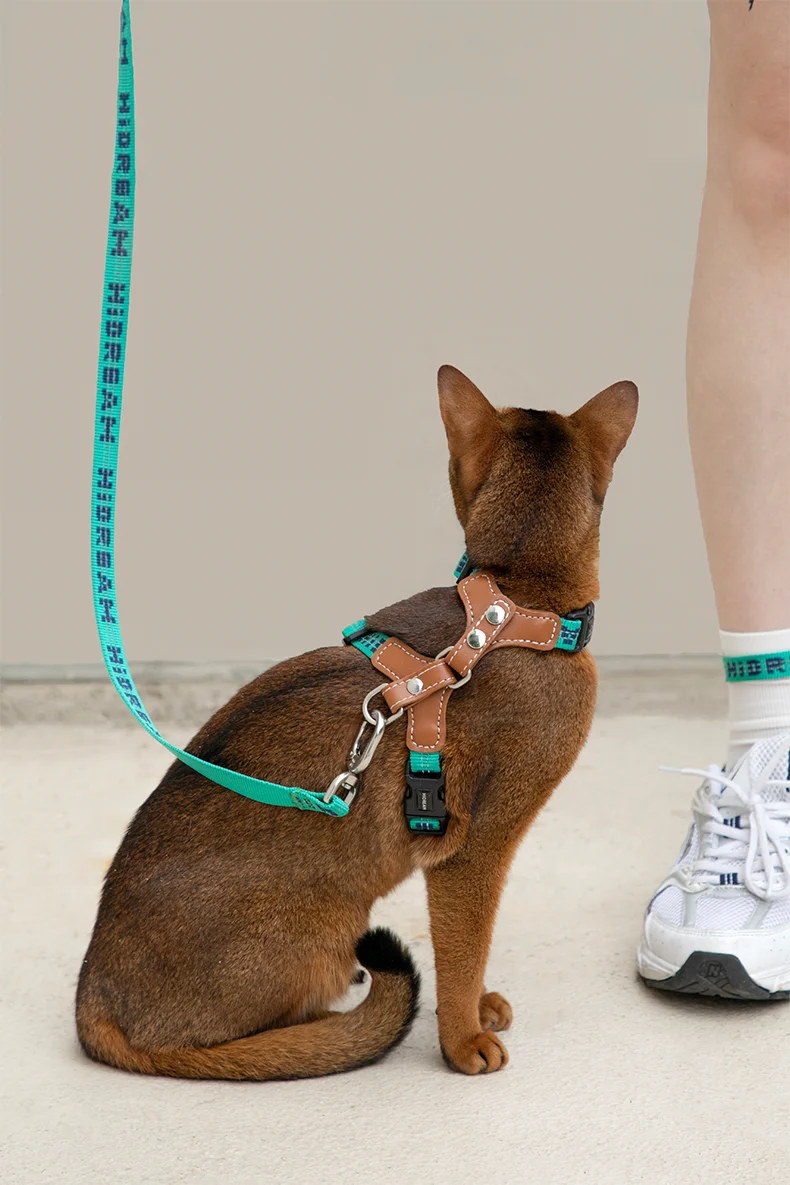 Harnais pour chat Ensemble de bretelles Confortable Reflective I-font Structure Anti-Break Adjustable Cat Leash