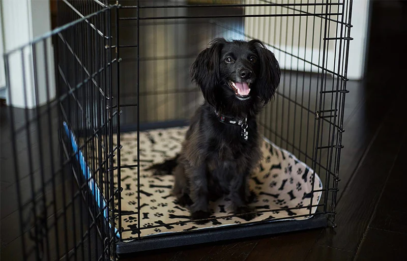 ZK30 Waschbare Pinkelpads für Hunde Große Wiederverwendbare Welpen Haustier Training Bodenmatten Absorbierende Leakproof Wurf Töpfchen und Kiste verwenden